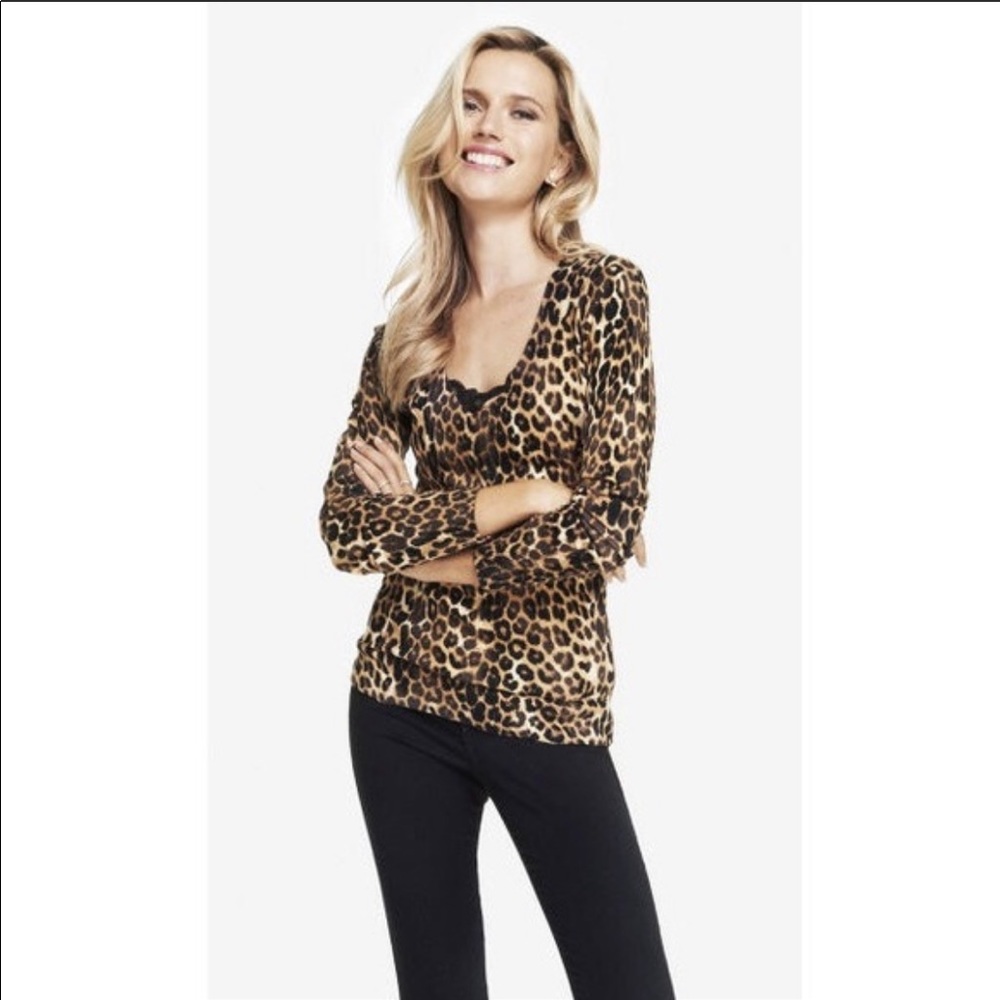 Express Leopard Print V Neck Sweater
